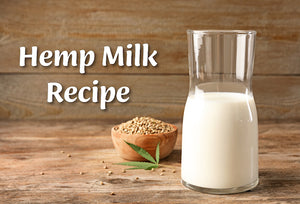 Easy Hemp Milk Recipe